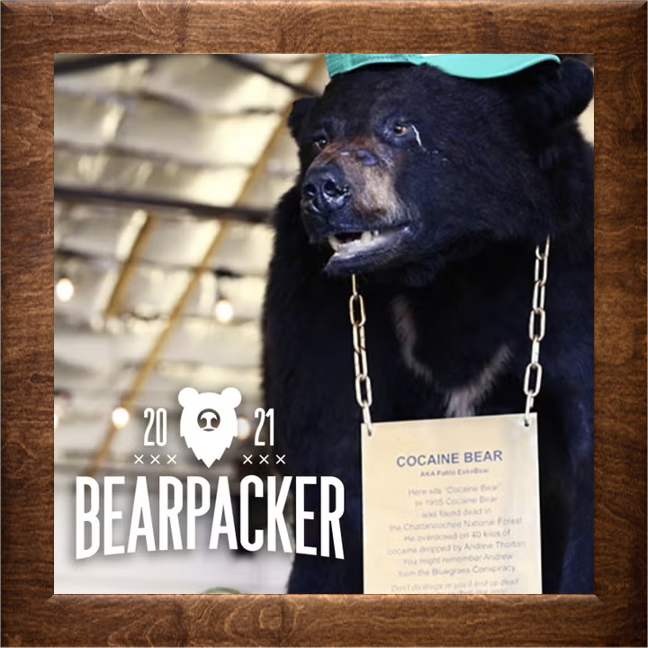 Cocaine Bear - Backpacker Magazine